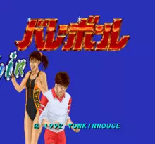 Image n° 1 - screenshots  : Volleyball Twin